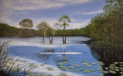 Urunga Wetlands, Susan Martin, acrylic 400px ht