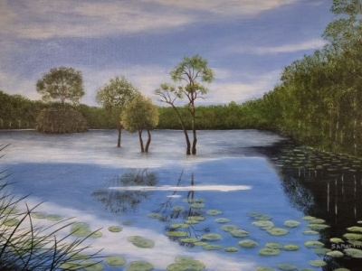 Urunga Wetlands, Susan Martin, acrylic 400px ht