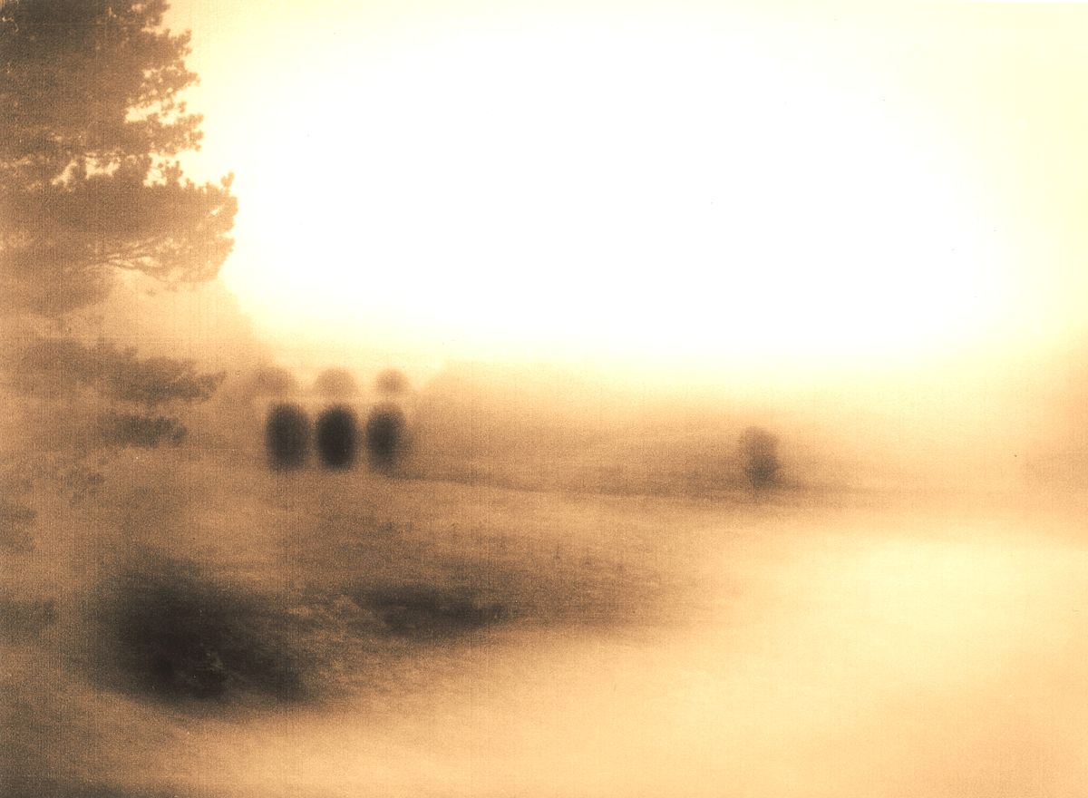 da2006e8-035a-9bd3-53b1-9d80deaf46ae